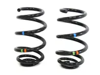 Coil springs REAR PAIR. Porsche 991.1 Carrera - 99133353103504, 99133353103