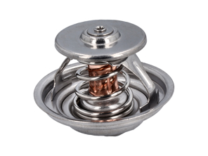 Water thermostat insert. Porsche 955 Cayenne 3.2L - 95510611300, 4455.80D, 8MT 354 778-161
