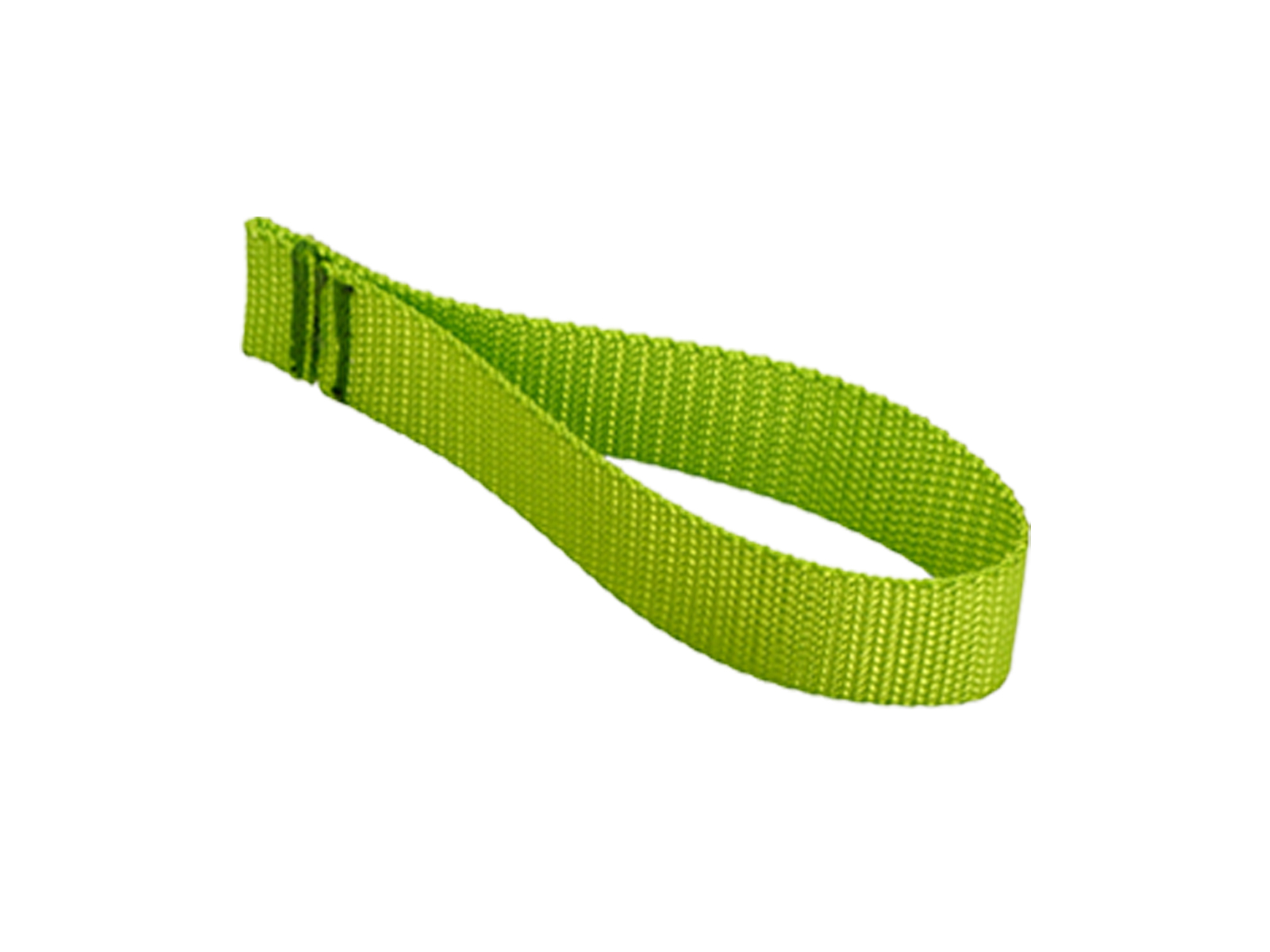 Lizard Green