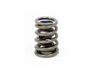 Intake valve spring set. Porsche 987/981 Boxster / 987/981 Cayman / 997.2 / 991 - 9A110511001