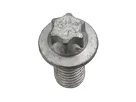 Clutch Pressure Plate Mounting Bolt. Porsche Boxster / Cayman / 991 / 996 / 997 / Panamera / Cayenne - 99907345801, 9A700407600