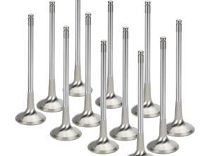 Cylinder head exhaust valve set. Porsche 958 Cayenne Hybrid / 970 Panamera Hybrid - 95810532220 - I01015008