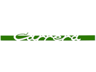 'CARRERA' side decal, in Green. Porsche 911 Carrera 2.7 - 91155903400, 91155903401, 91155903402, 91155903403, 91155903404