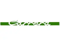 'CARRERA' side decal, in Green. Porsche 911 Carrera 2.7 - 91155903400, 91155903401, 91155903402, 91155903403, 91155903404