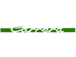 'CARRERA' side decal, in Green. Porsche 911 Carrera 2.7 - 91155903400, 91155903401, 91155903402, 91155903403, 91155903404