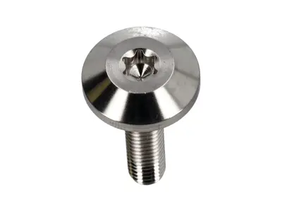 Bolt for PDK Gearbox Sump - Titanium Upgrade, M6 X 25. Porsche 987.2 / 981 / 718 (982) / 997.2 / 991 / 992 - 9G132180100, PAF009388 - 92698
