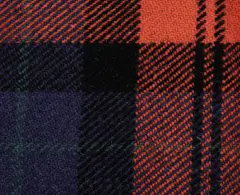 Tartan - Blue/Red