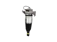 Rear air suspension strut unit. Porsche 958 Cayenne 2011 - 2018 - 95835801900, 95835801901, 95835801905, 95835801910, 95835801911, 95835801917, 95835801918, 95835801920, 95835801930, 95835801931, 95835801940, 95835801950, 95835802000, 95835802001, 95835802005, 95835802010, 95835802011, 95835802015, 95835802017, 95835802018, 95835802020, 95835802030, 95835802031, 95835802040, 95835802041, 95835802050 - 42928, 54014