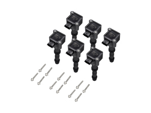Ignition Coil Packs (PACK OF 6 BERU) Porsche 996 3.4L / Boxster 986>>03 - 99760210700, 99760210702, 99660210200, 99760210702, 99660210101, 99660210200, 99760210700, 0986221116, 99760210405, 997.602.104.05, 997 602 104 05, 99760210404, 997.602.104.04, 997 602 104 04, 99760210402, 997.602.104.02, 997 602 104 02, 99760210406, 997.602.104.06, 997 602 104 06, 99760210403, 997.602.104.03, 997 602 104 03, 99760210401, 997.602.104.01, 997 602 104 01, 99760210400, 997.602.104.00, 997 602 104 00, 99660210400, 996.602.104.00, 996 602 104 00, 997.602.107.00, 997 602 107 00, 996.602.101.01, 996 602 101 01, 99660210501, 996.602.105.01, 996 602 105 01, 99660210500, 996.602.105.00, 996 602 105 00, 9760210702, 90038502501, 900.385.025.01, 900 385 025 01, 99660210100, 996.602.101.00, 996 602 101 00, 99917020791, 99610532552 - ZS177, ZS177