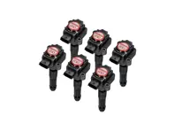 Performance Ignition Coil Pack (PACK OF 6). Porsche 996 / Boxster 986 / Boxster 987 / 997 / Cayman - 99760210402, 99760210400, 99660210400, 99760210404, 0986221119, 90660210200, 90660210301, 99660210100, 99660210101, 99660210200, 99760210401, 99760210700, 99760210702, 99760210406, 99760210405, 90660210101, 99760210703, 4201R - EUPD6004202R