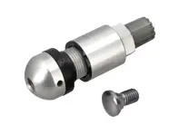 Tyre pressure monitor valve stem. Porsche 997 / Boxster / Cayman / Cayenne / Panamera - 95536105300, 9P1601361C, 9P1601361A, 73902021, 9P1601361D, 9P1601361D/1, N90872901 - RDV021