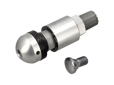 Tyre pressure monitor valve stem. Porsche 997 / Boxster / Cayman / Cayenne / Panamera - 95536105300, 9P1601361C, 9P1601361A, 73902021, 9P1601361D, 9P1601361D/1, N90872901 - RDV021