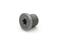 Sump plug. Porsche Cayenne / Macan / Panamera - PAF911679, N0160276, N91167901