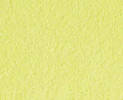 Alcantara 1041