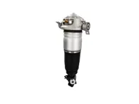 Rear air suspension strut unit. Porsche 955 / 957 Cayenne 2002 - 2010 - 95533303342, 95533303343, 95533303344, 95533303320, 95533303321, 9553330332, 95533303442, 95533303443, 95533303444, 95533303420, 95533303421, 95533304322 - 58297, 76045