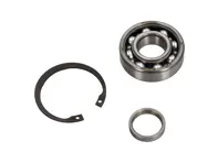 Single row IMS bearing for DOF - 99610599633