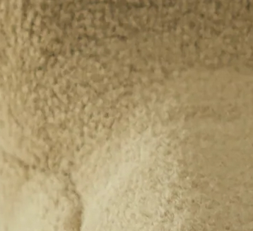 Savanna Beige