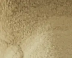 Savanna Beige