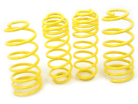 APEX Sport spring kit for AUDI A3 1.8 & TDI (TYP:8L) 96-03 - 10-8010