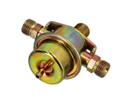 Fuel Pressure Regulator Front. Porsche 928 S2 - 92811020200, 92811020223 - PMBD5