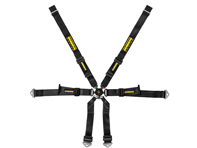 SCHROTH PROFI 2x2 FHR 6-Point adjustable race harness. Porsche 981 Cayman - 94680-0, 94680-2