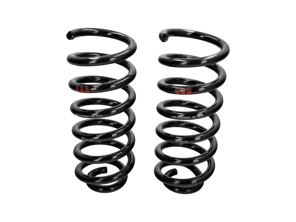 Rear Coil Springs (Pair). Porsche 993 Turbo 1994-96 - 99333353125504, 99333353116504
