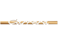 'CARRERA' side decal, in Matt Gold. Porsche 911 Carrera 2.7 - 91155903400, 91155903401, 91155903402, 91155903403, 91155903404