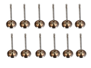 Engine cylinder head exhaust valve kit. Porsche 987 Boxster 2.7L / 987C Cayman 2.7L - 98710511600