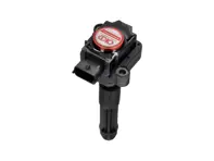 Plasma Direct Ignition Coil Pack. Porsche 996 / Boxster 986 / Boxster 987 / 997 / Cayman - 99760210400, 99760210402, 99660210400, 99760210404, 0986221119, 90660210200, 90660210301, 99660210100, 99660210101, 99660210200, 99760210401, 99760210700, 99760210702, 99760210406, 99760210405, 90660210101, 99760210703 - EUPD6004201R