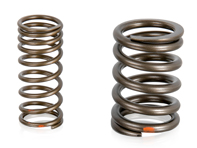 Valve spring set. Porsche 924 - 046109623, 048109623, PCG109623