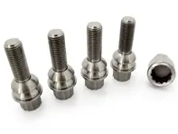 Locking wheels bolt kit Titanium for Porsche 986/996/997/Cayman - 971698030B, PAF009593, 99736105702, 99736198010, 3608300002, 99736198009, WHT006979A, 3608300002/1, 3608300001/1, 3608300001, 3608300001BLK, 99736120000