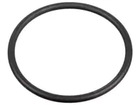 Sealing ring 31 x 2 high pressure fuel pump. Porsche 95B Macan / 957 / 958 / 9YA Cayenne / 970 / 971 Panamera - WHT005184 - 172666