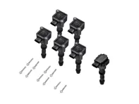 Ignition Coil Pack (Pack of 6). Porsche 997.1 turbo / GT2 - 99760210402, 99760210405, 99760210400, 99760210406, 99760210404
