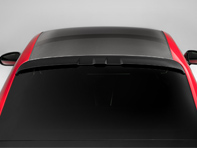 TechArt roof spoiler. Porsche 992 turbo coupe - 092.100.600.009, 092.100.600.009G, 092.100.600.009M