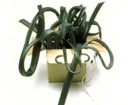 Restoration Rubber Seals Kit. Porsche 911 Coupe Standard Body