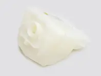 Brake fluid reservoir. Porsche 964 / 993 / Carrera GT - 99335511350, 96435511351