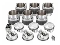 RSR Big-Bore Piston and Cylinder Set, 98mm. Porsche 911 3.0 Carrera / 911 SC 1976–83 - PCG503719A, PCG503819A - 10010303204