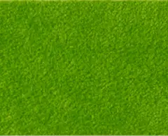 Alcantara 1581