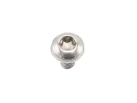 Fillister Head Screw, M6 x 10. Porsche 997 Turbo / 991 Turbo / 992.1 Turbo - PAF008313, 9990732360A