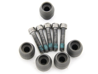 Brake disc driving pin kit. Porsche 991.1 / 991.2 - 99134190100