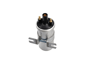 Ignition coil. Porsche 911 / 930 / 914 - 90160250201, 0221119030, ZS565, ZS109, 90160210200, 54760210200, 1691600402, 0040100109 - ZS109, ZS565
