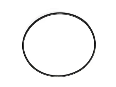 O-ring