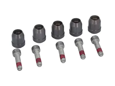 Brake disc driving pin kit. Porsche 991 GT2 RS / 991 GT3 - 99134190580