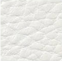 White 1652