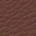 Brown 1655