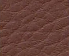 Brown 1655