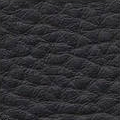 Black 1659