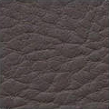 OliveBrown 1704