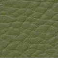 Green 1705