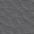 Grey 1731